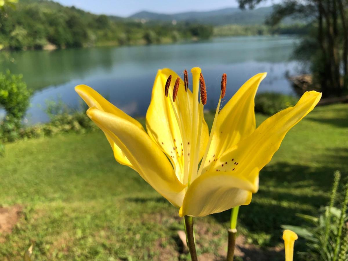 Jezero Snijeznica - Vikendica Villa ภายนอก รูปภาพ